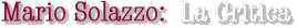 Mario Solazzo: La Critica